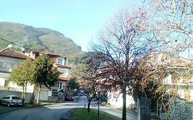 Apartment Near Olympus Mountain